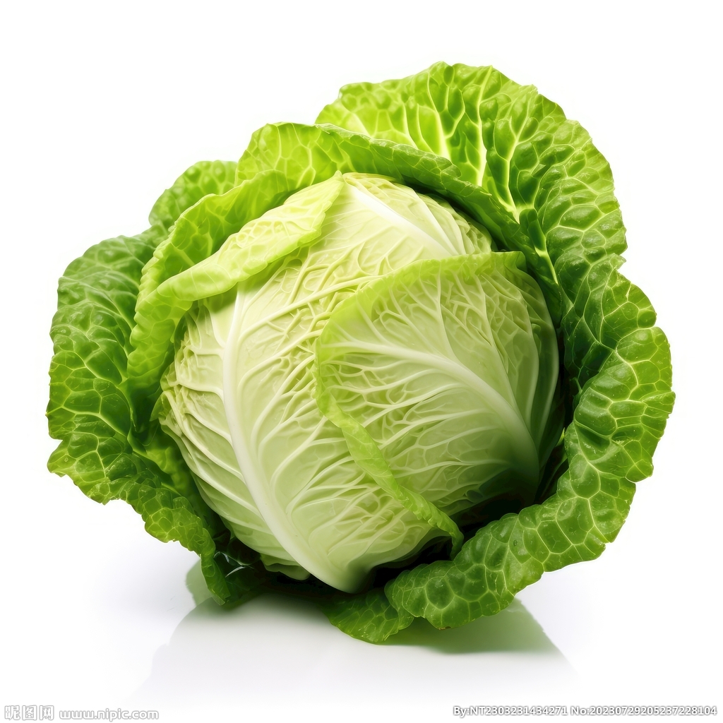 包菜 