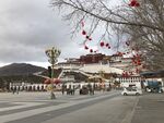 布达拉宫图片