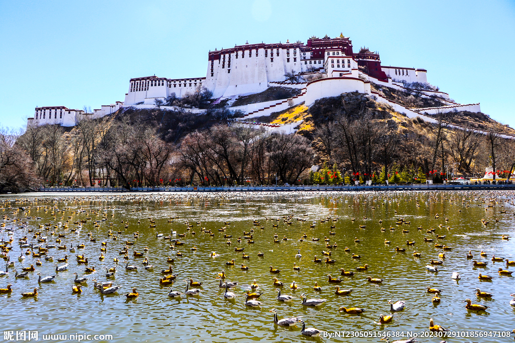 布达拉宫旅游