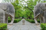 南京明孝陵古道