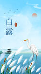 白露海报  