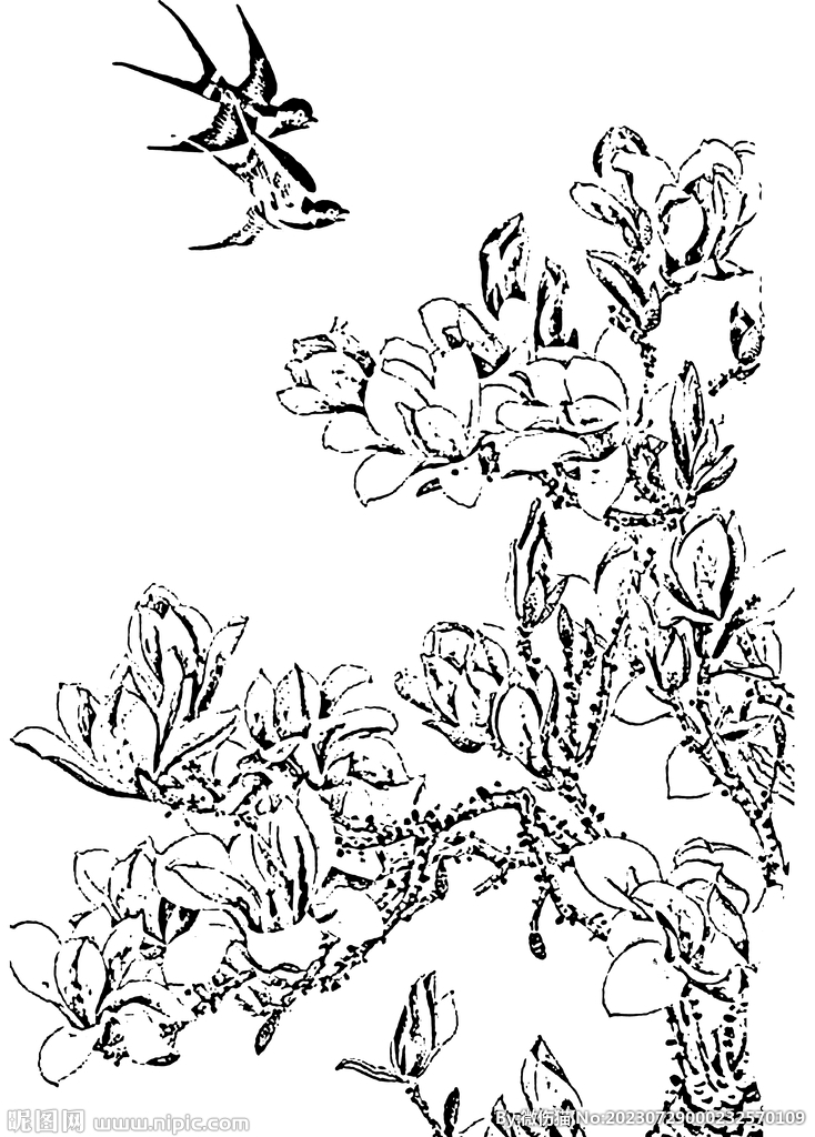 花鸟白描