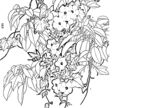 花鸟白描
