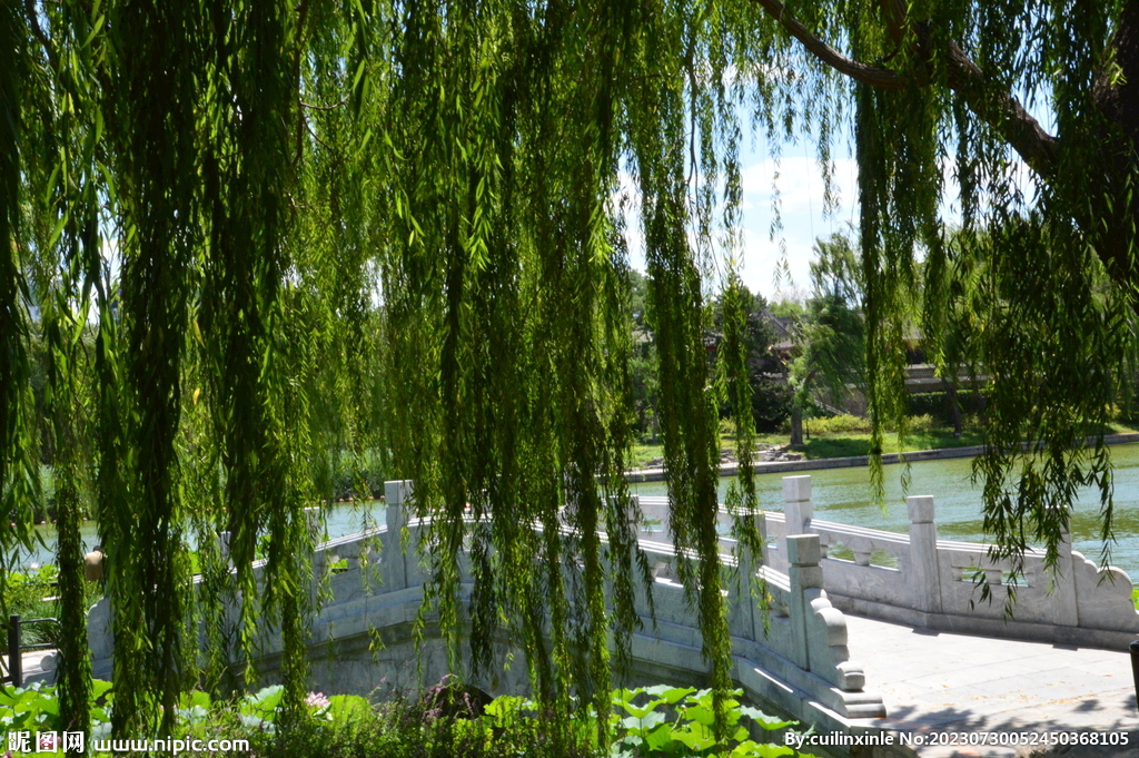 公园风景