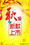 秋款上新