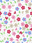 色块花