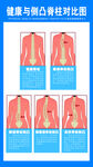 健康与侧凸脊柱对比图