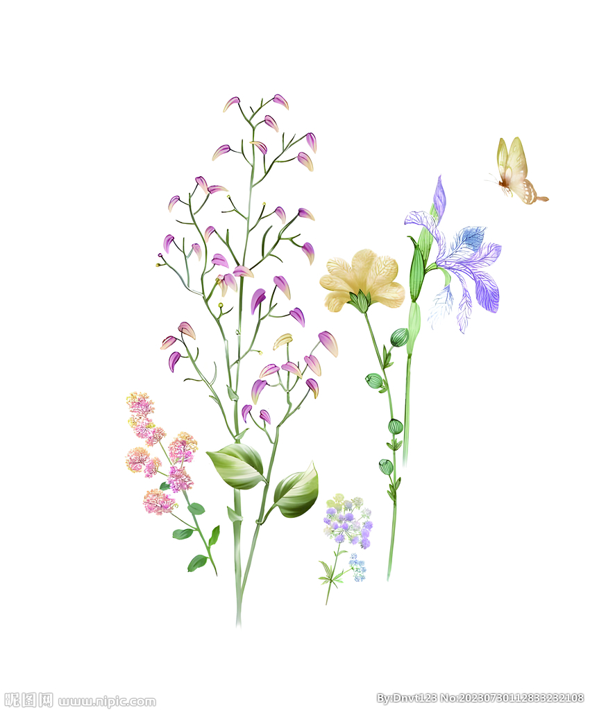 大牌花