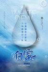 白露海报