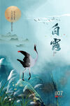 白露海报