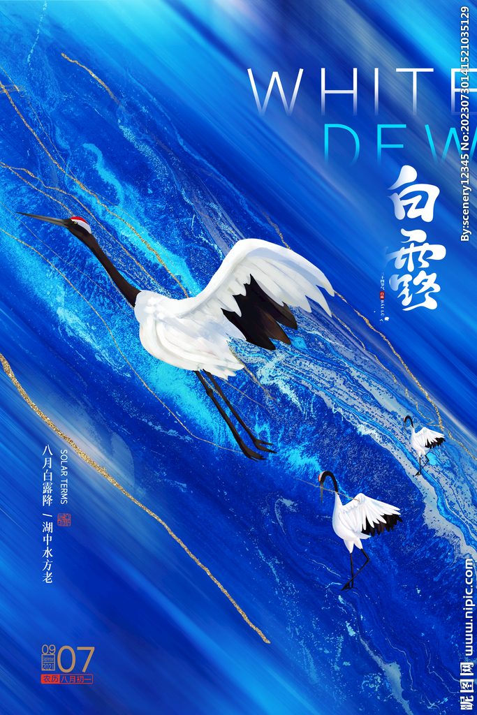 白露海报
