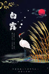 白露海报