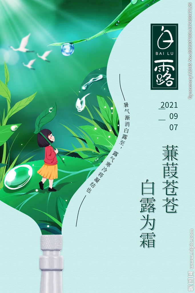 白露海报