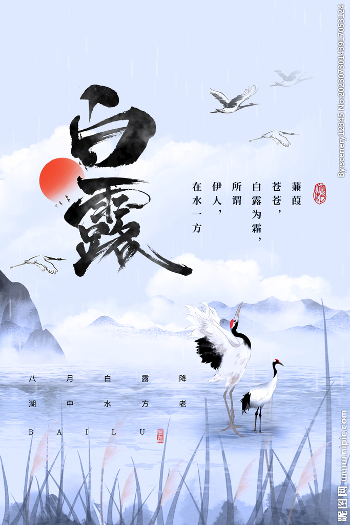 白露海报