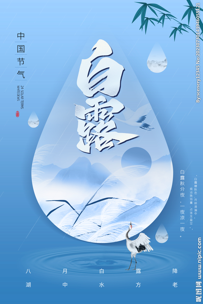白露海报