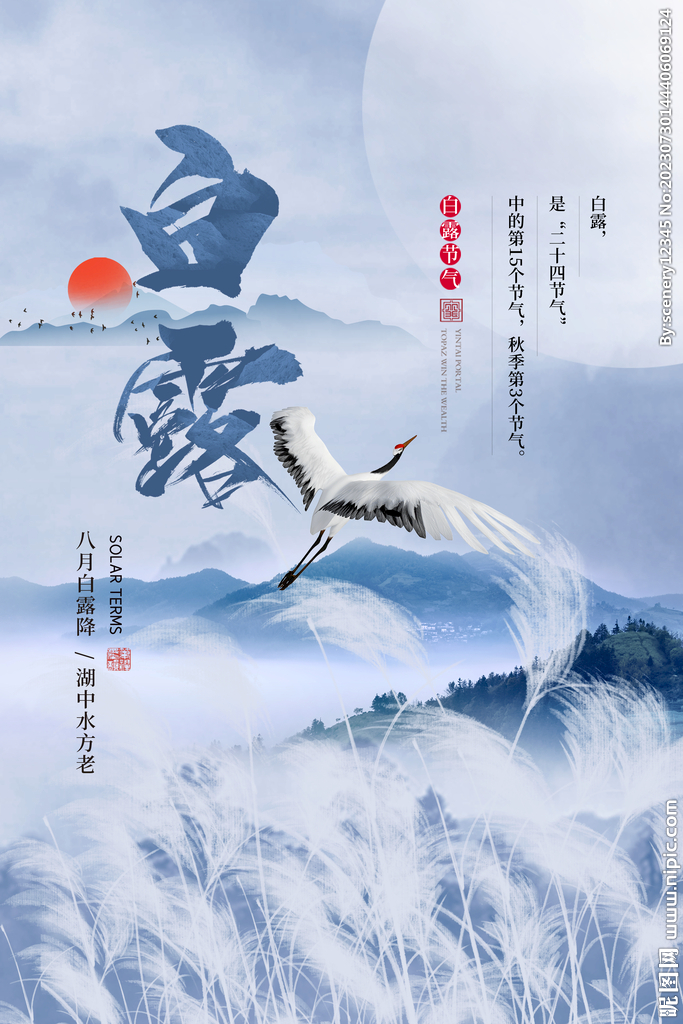 白露海报