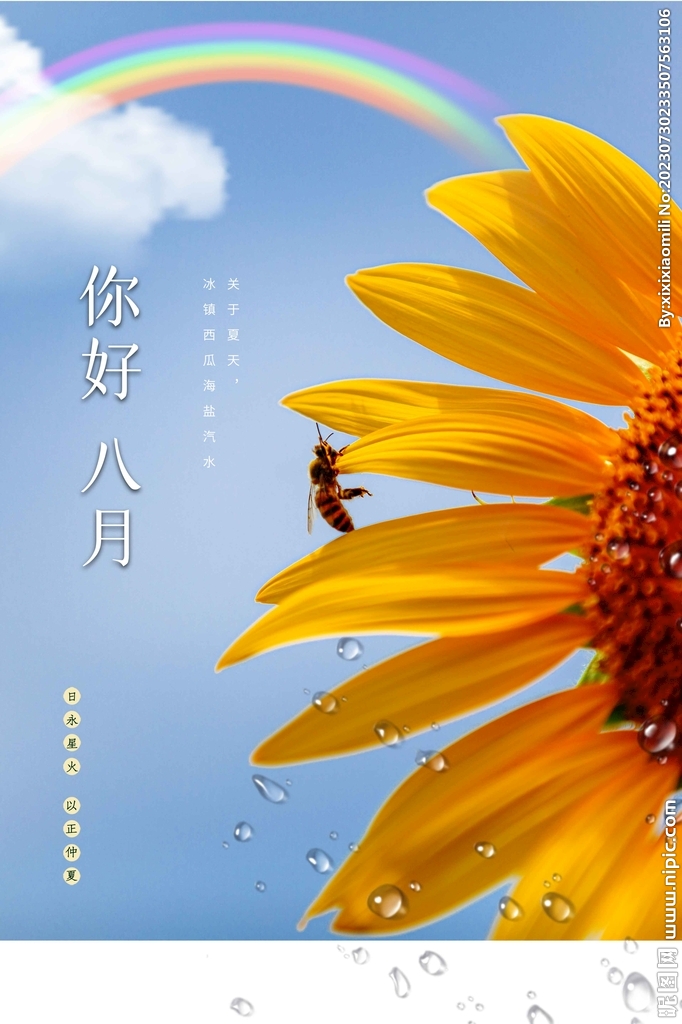 八月你好