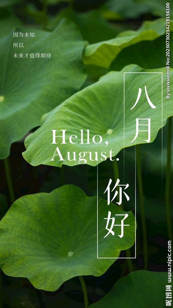 你好八月
