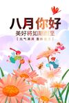 八月你好