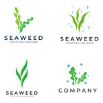 海草logo