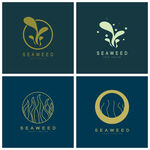 海草logo