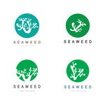 海草logo