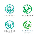 海草logo