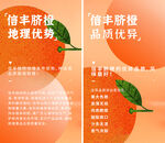 脐橙海报