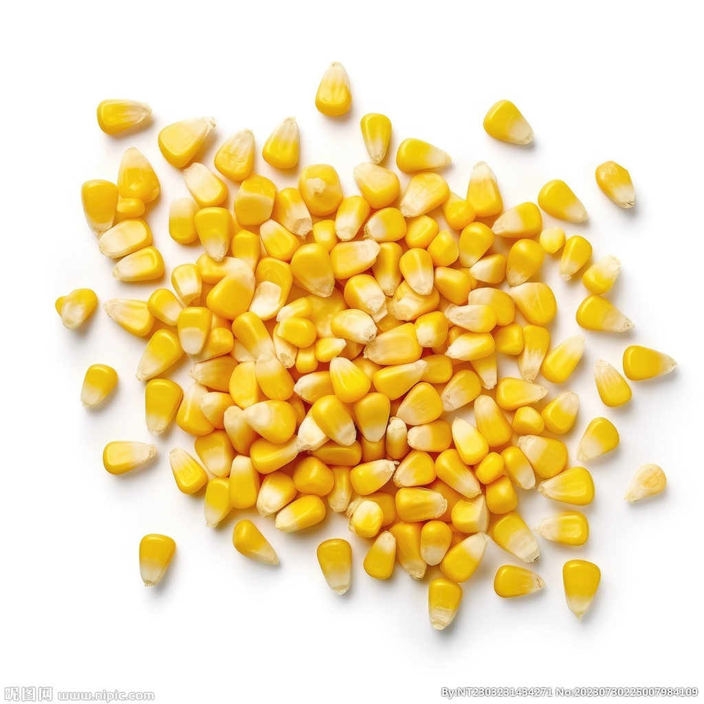 玉米粒 