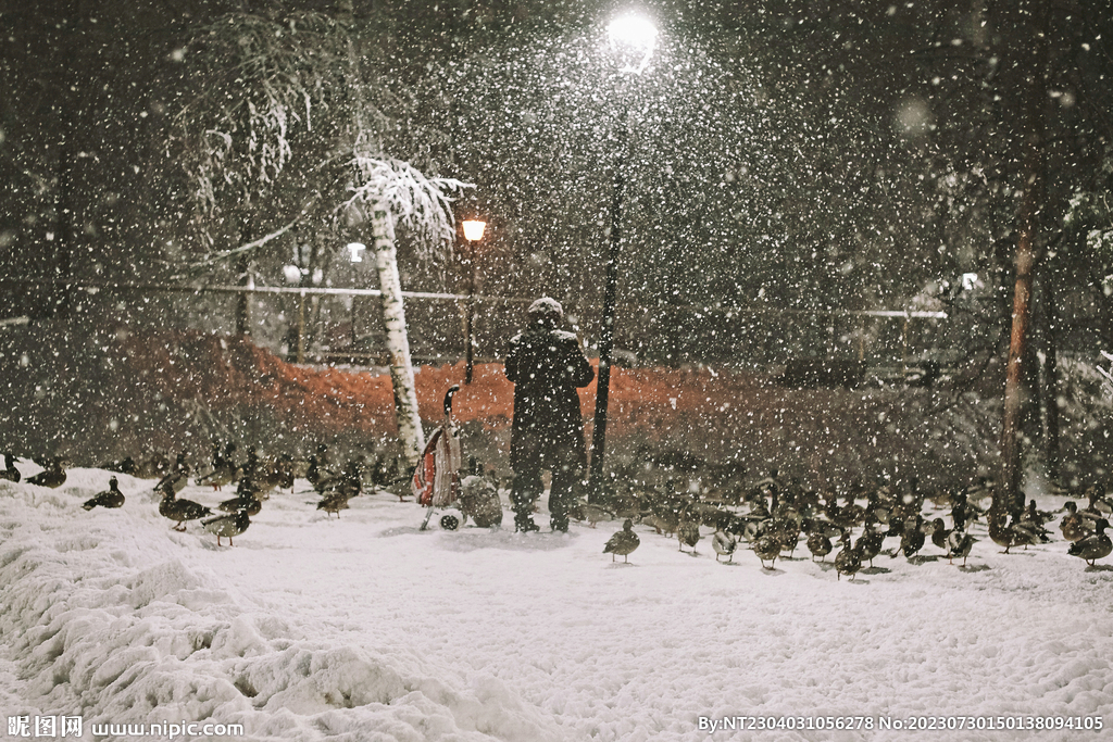 雪夜鸭子