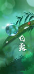 白露海报