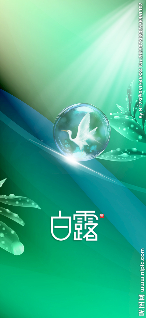 白露海报