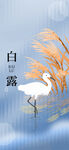 白露海报