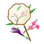蒲扇