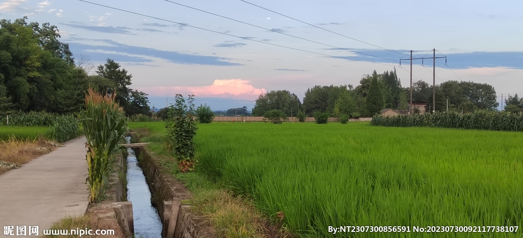 乡野晚间风景