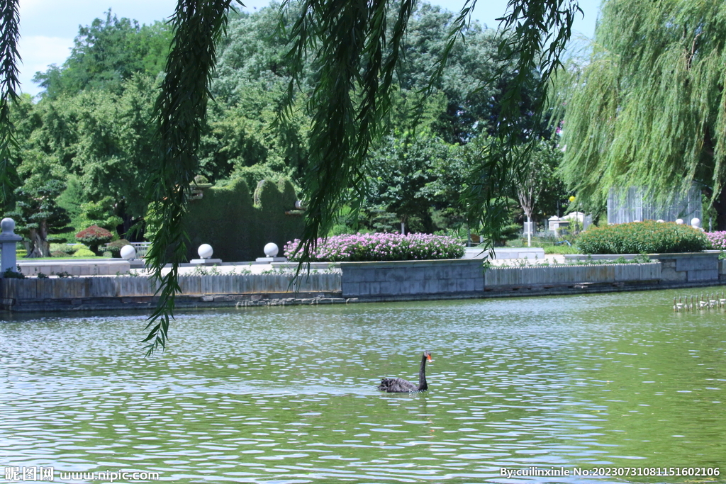 公园风景   