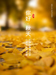 你好秋天海报