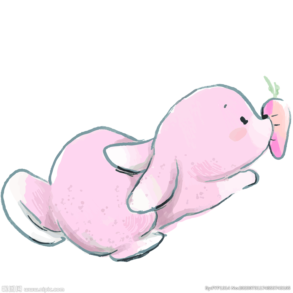 兔子