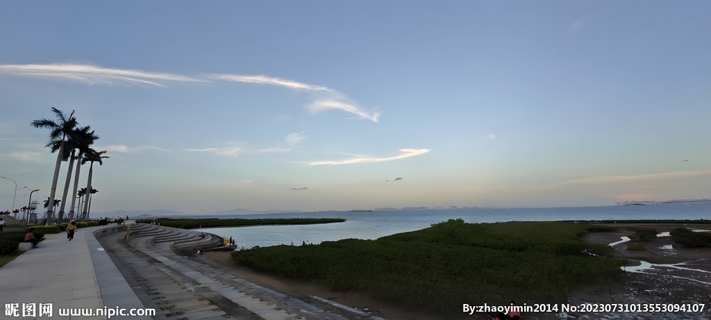 海边的公路