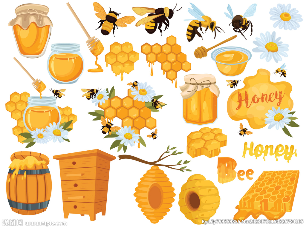 蜂蜜插画