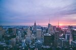 纽约城市 
