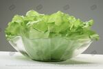 生菜