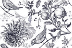 花卉手绘 