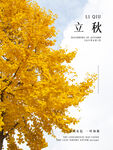 立秋展板