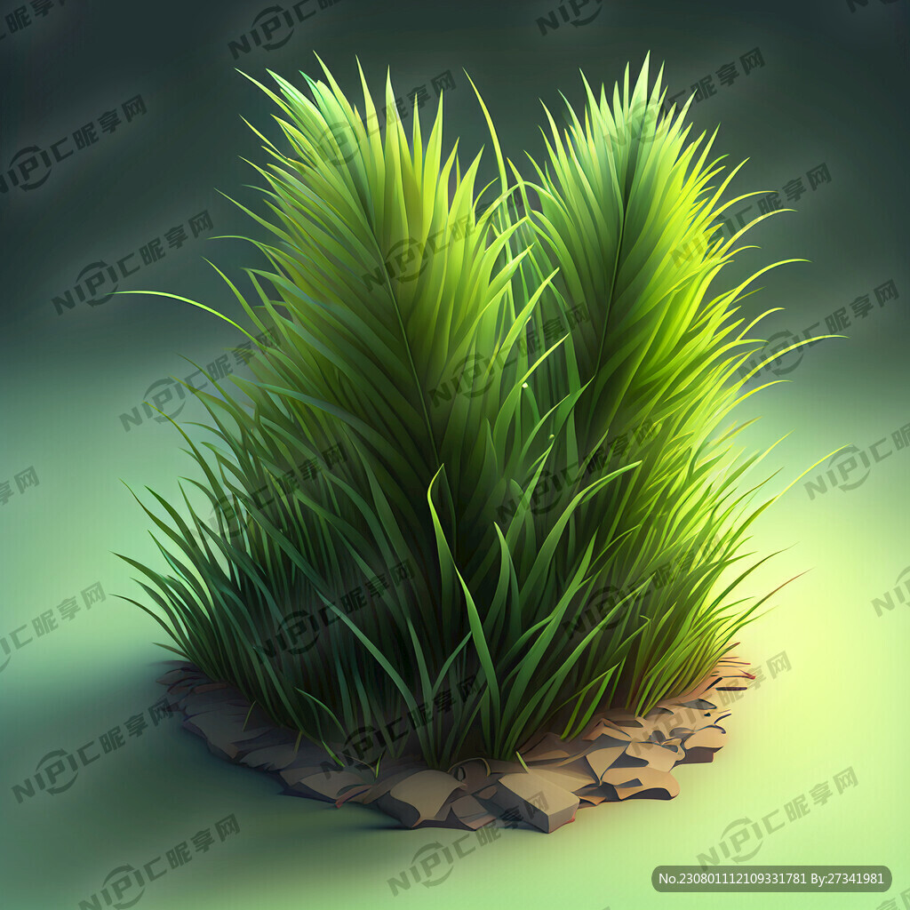 树叶草