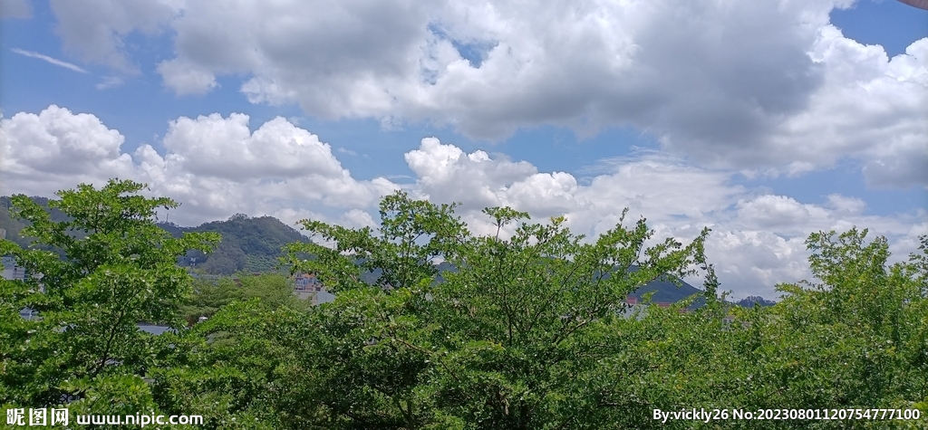 风景