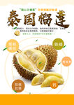榴莲海报