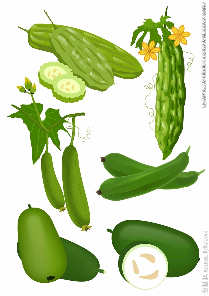 果蔬菜失量