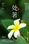 处暑节气海报