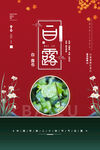 白露 二十四节气